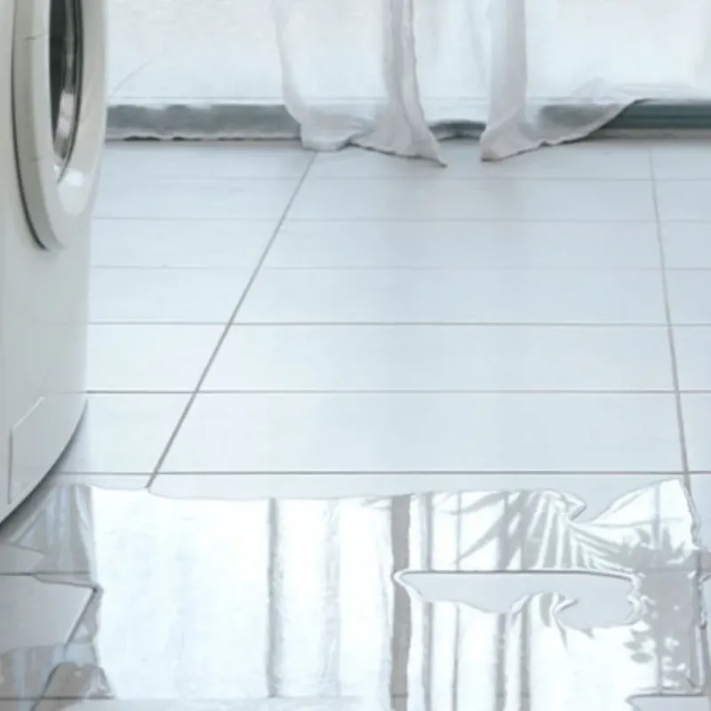Appliance Leak Cleanup in Whitehall, MI