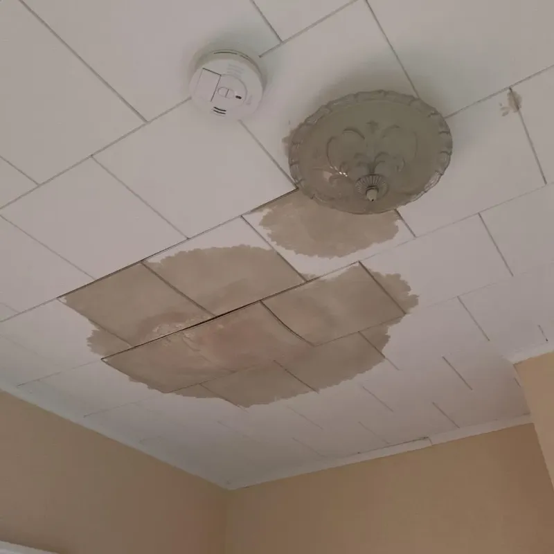 Ceiling Water Damage Repair in Whitehall, MI