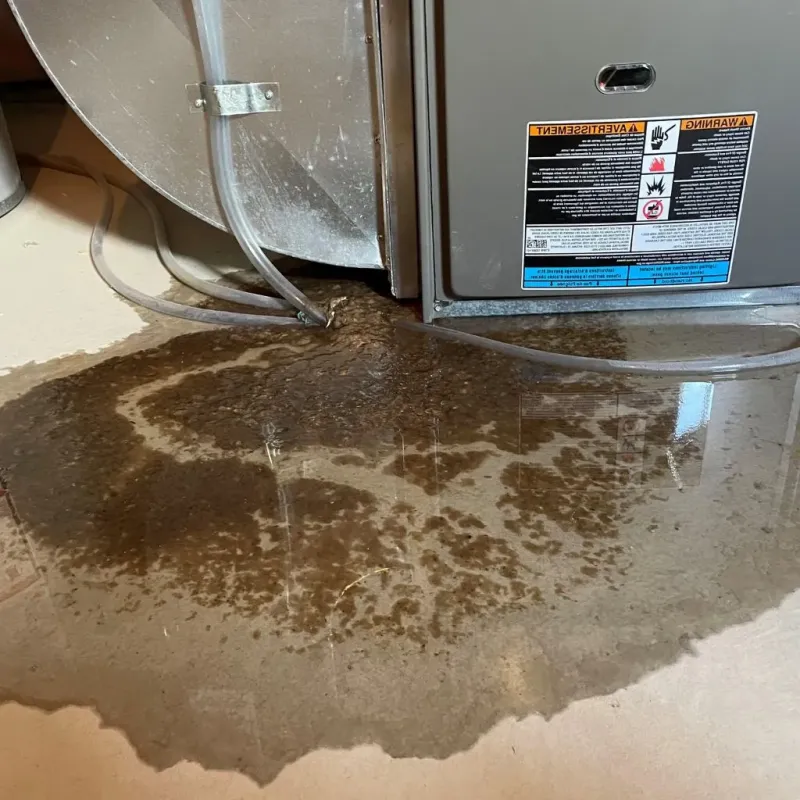 Pipe Burst and Leak Restoration in Whitehall, MI
