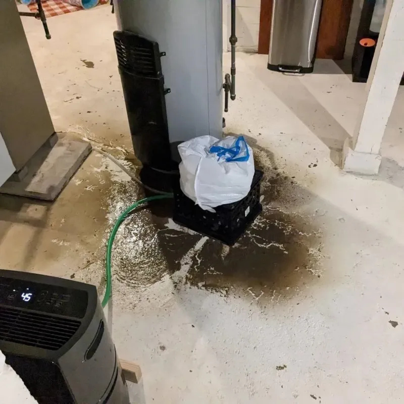 Sewage Backup Cleanup Service in Whitehall, MI